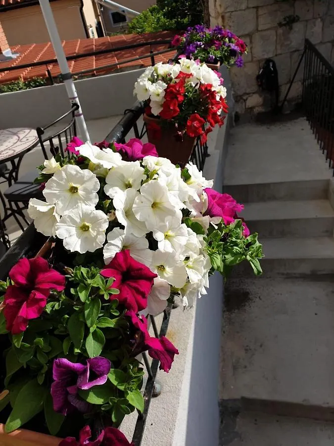 Golden B&B Split Kroatien